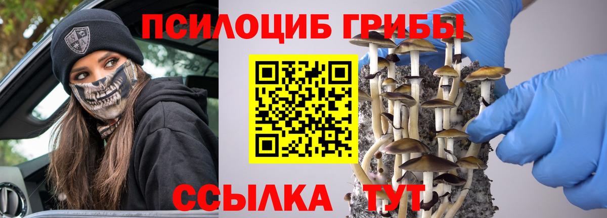 Галлюциногенные грибы прущие грибы  Вход с VPN  Кисловодск  Псилоцибиновые грибы ЛСД 